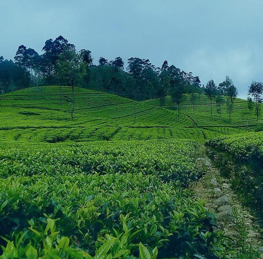 Golden Villa Kandy - "Free Pickup From Kandy " Luaran gambar